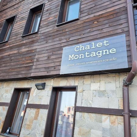 Chalet Montagne Bansko Apartment Экстерьер фото